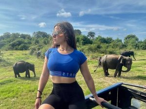 Minneriya National Park Safari