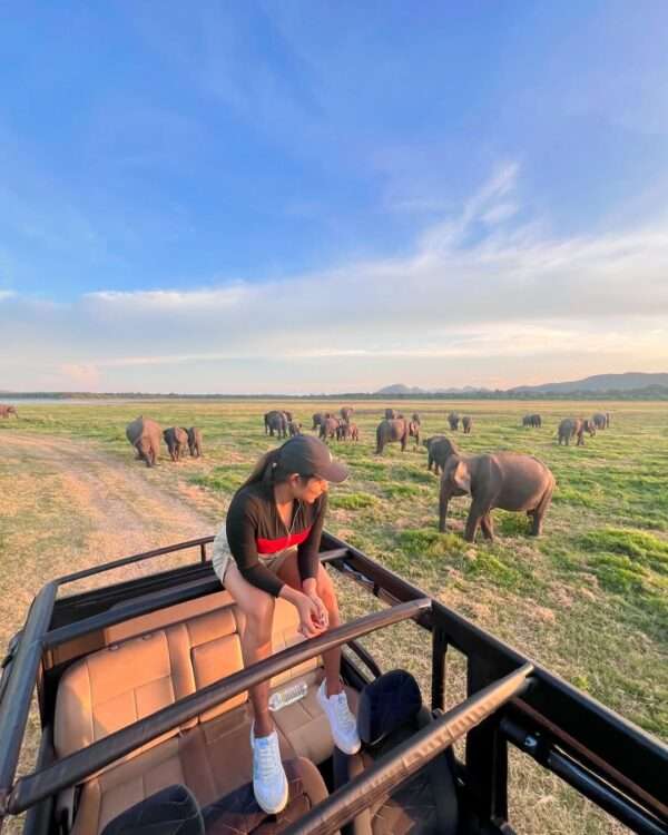 Minneriya National Park Safari Morning OR Evening - Image 8