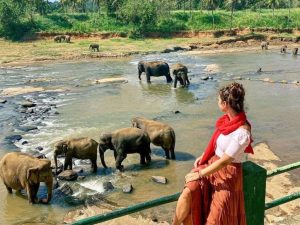Colombo to Kandy day tours