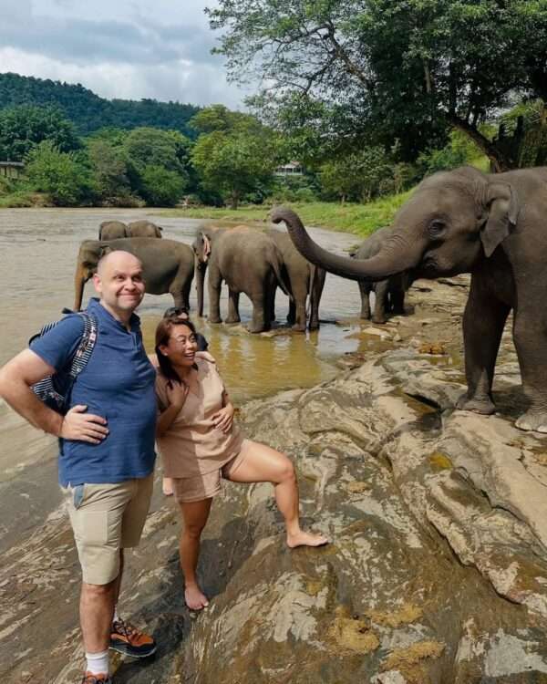 Colombo to Kandy and Pinnawala Elephant Orphanage Day Tour - Image 15