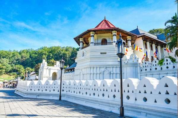 Colombo to Kandy Day Tours