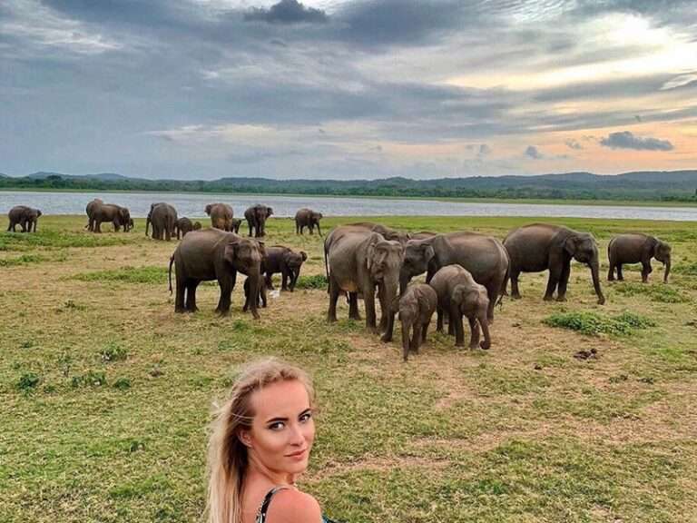 Minneriya National Park