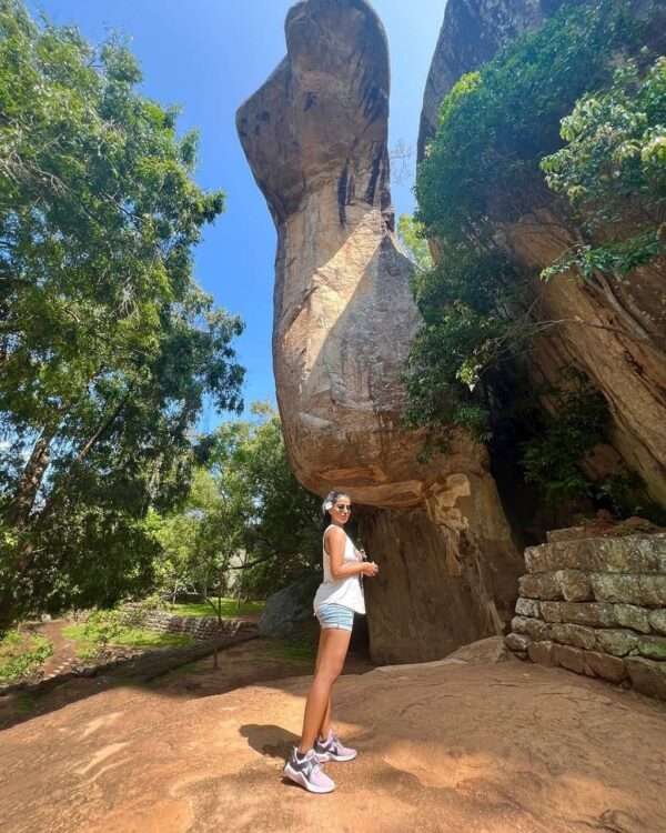 Sigiriya Day Tour from Colombo with Dambulla and Minneriya Safari - Image 8