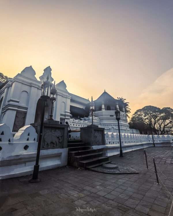 Kandy City Tour by Tuk Tuk - Just 7$ Private Day Tour - Image 5