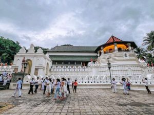 Kandy city tour by tuk tuk