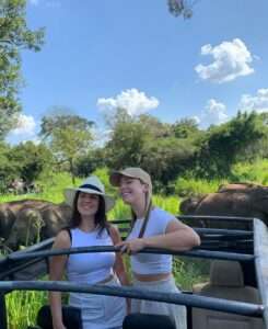 Minneriya / Hurulu Eco Park Jeep Safari (Morning OR Evening)